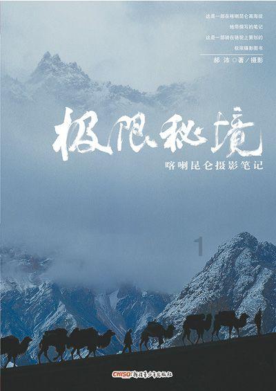 敏捷的白球